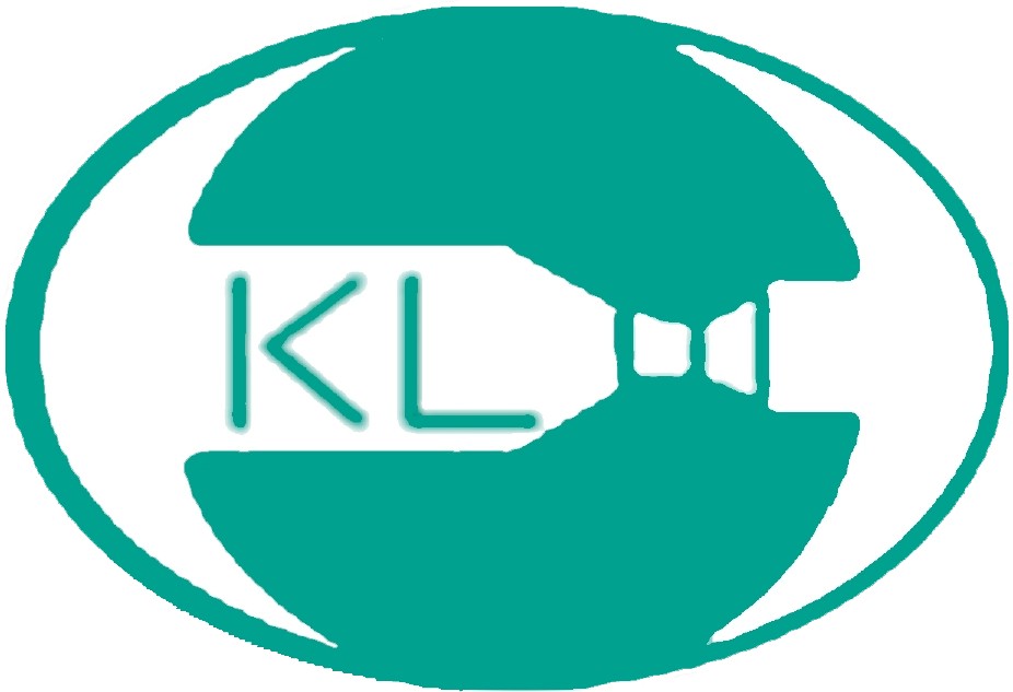 King Lai Electronics Co., Ltd.金淶電子有限公司