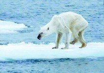 2021突破多變發展之電子連接產業高峰論壇暨第十一屆第二次會員大會 2021突破多變發展之電子連接產業高峰論壇暨第十一屆第二次會員大會