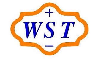 Weli Sheng Terminal Industrial Co., Ltd.威力盛精工(股)公司